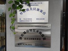 -千城康桥宠物医院·猫科·骨科·心脏