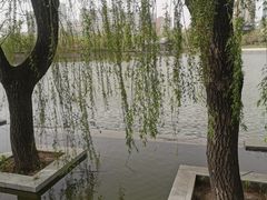 -迎泽公园