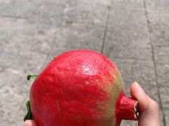 -双廊杨记石锅鱼石锅牛肉