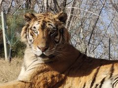 -北京野生动物园