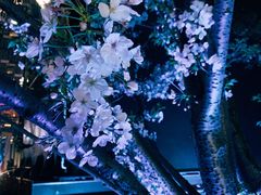 -新天地活力PARK