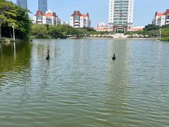 -厦门大学(思明校区)