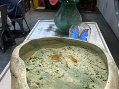 -小豆海棠(嘉兴路店)