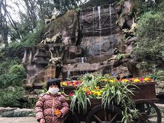 -重庆平顶山公园