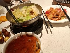 -醉得意·山茶油炒土鸡(莆田仙游方圆荟店)