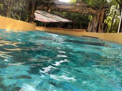 -上海玛雅海滩水公园