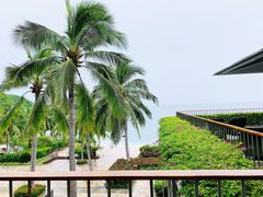 -日落吧·海景咖啡厅·餐酒吧·鸡尾酒·下午茶·乐队表演·浪漫夕阳·三亚文华东方酒店