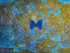 -上海昆虫博物馆