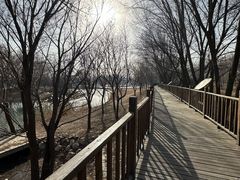 -北京麋鹿生态实验中心