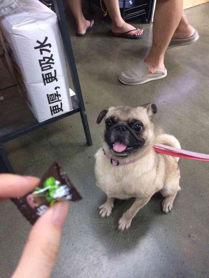 昌化菜市场-"市中心的菜场,价格个人觉得很贵,和妈妈家.