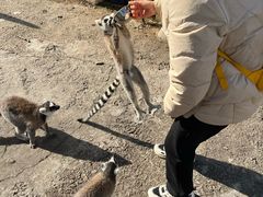-无锡动物园·太湖欢乐园