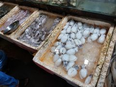 -Bờ kè Nhật Thi