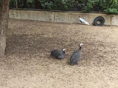 -秦皇岛野生动物园