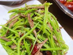 -小杨烤肉(朱雀店)