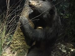 -陕西自然博物馆