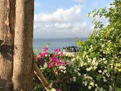 -Rock Bar Bali(Bali)