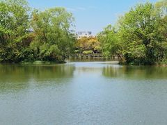 -新江湾城公园