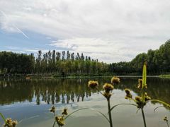 -东郊湿地公园