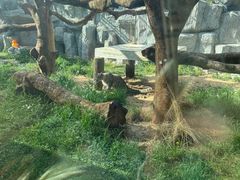 -青藏高原野生动物园