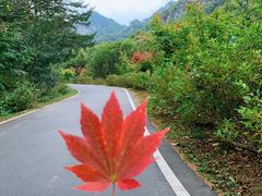 -大连天门山国家森林公园