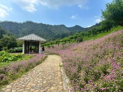 -广州市石门国家森林公园