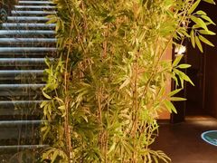 -新紫霞养生·影院足道·SPA(金山区店)