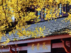 -大慈岩风景区
