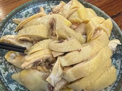 -九斤黄三黄鸡专卖店