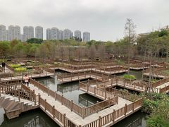-五缘湾湿地公园
