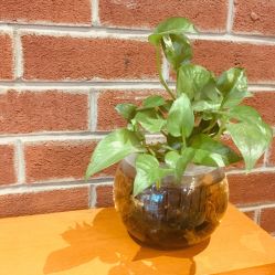 -时尚殿堂·颜SPA