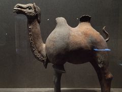 -敦煌市博物馆
