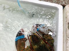-霞涌市场海鲜摆卖区