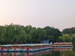 -二一九公园