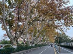 -王红军龙虾(新民路店)