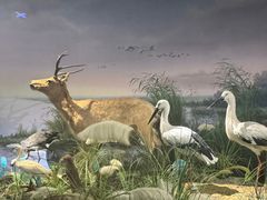 -湖南省地质博物馆