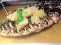 -鱼酷活鱼烤鱼(中联广场店)