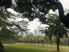-东风公园