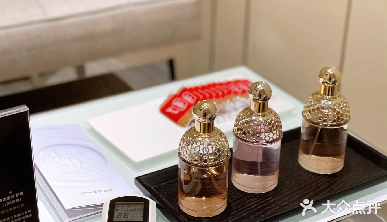 免费的娇兰兰花护理它不香吗？！