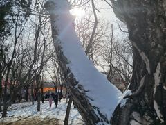 -北京石景山游乐园
