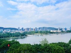 -白鹭洲公园