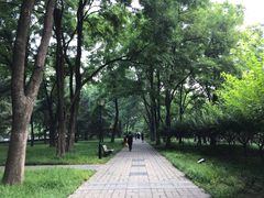 -玲珑塔公园