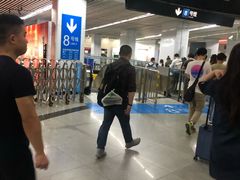 -东方体育中心(地铁站)