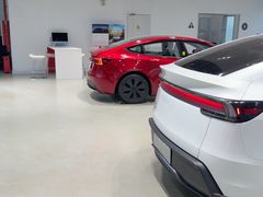 -TESLA 特斯拉(深圳观澜特斯拉直营钣喷中心)