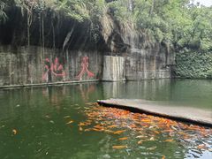 -千岛湖东南湖区