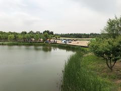 -东郊湿地公园