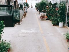 -龙大花卉苗木市场
