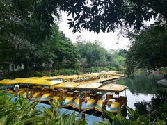 -晓港公园