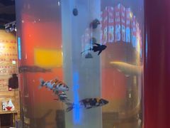 -秤砣砣·湖南粉面馆(青年路店)