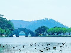 -顺峰山公园