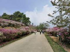 -广州市石门国家森林公园